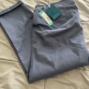 New Market Spruce Pants